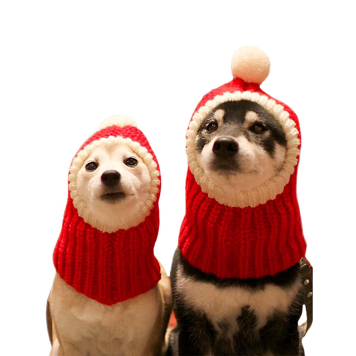 Gorro navideño NACOCO para perro con pompón festivo.