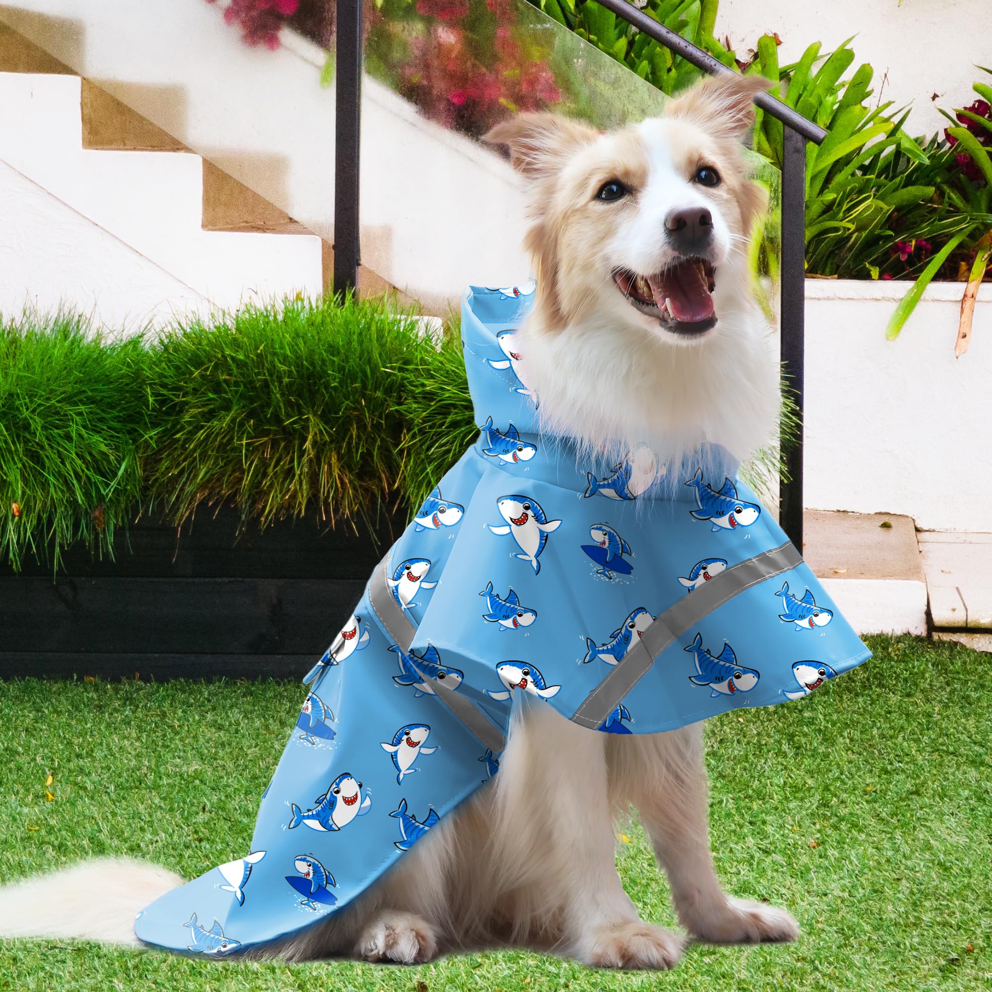 NACOCO material impermeable y transpirable protege a tu perro durante la lluvia