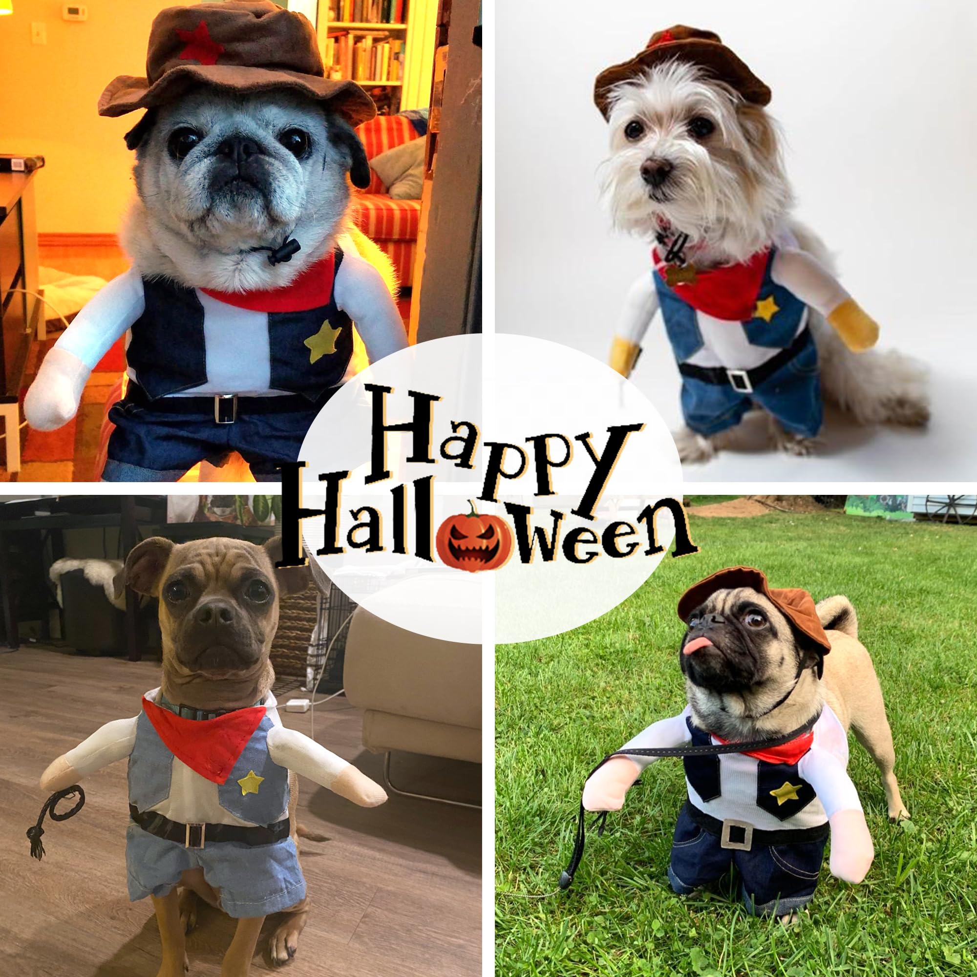 Uso versátil para fiestas y sesiones de fotos con mascota NACOCO
