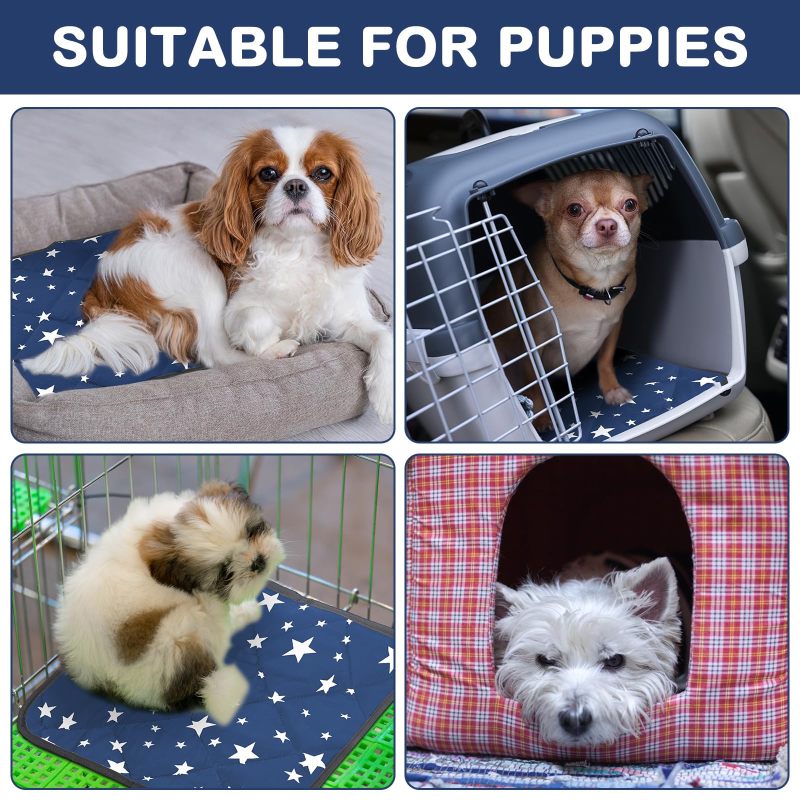 Namalu base anti deslizante mantiene estable a tu mascota