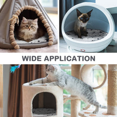 Namalu cama auto-caliente gato-estrellas tacto suave que invita al descanso.