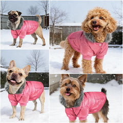 NAMSAN capa para perro pequeño rosa, cierre de botones fácil de poner.