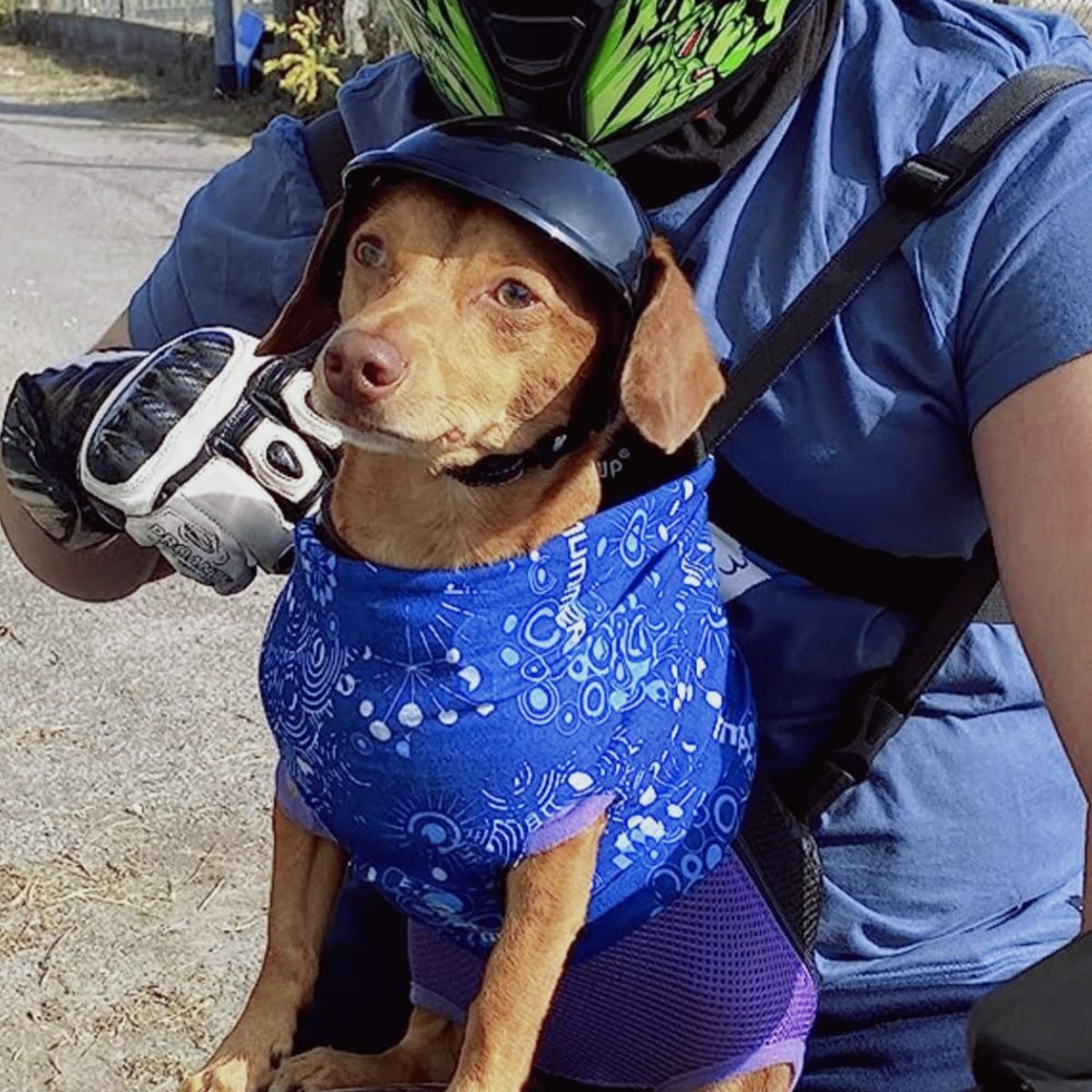 Protección de cabeza con casco NAMSAN durante paseos al aire libre