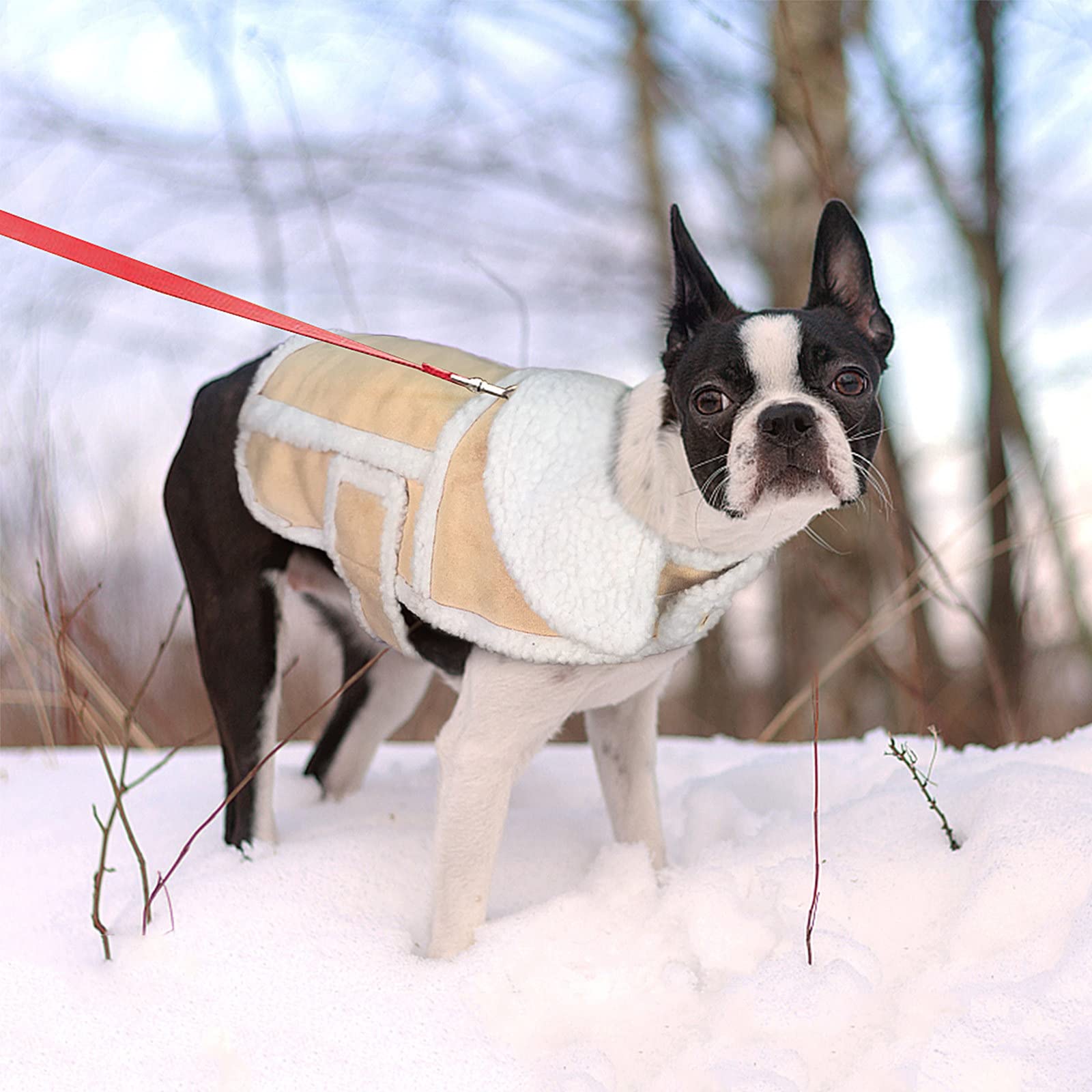 Namsan chaqueta perro sherpa espalda, cobertura completa para días fríos.