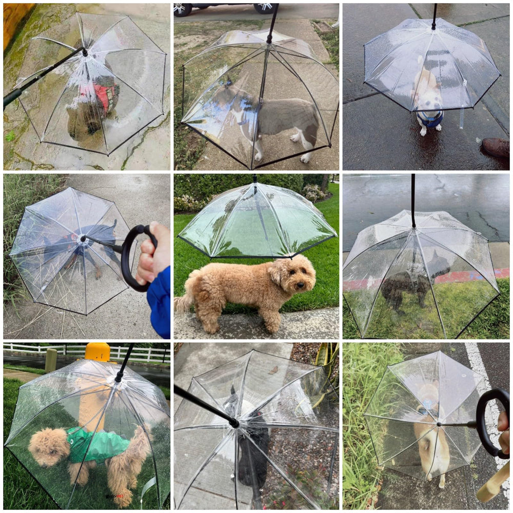 Correa ajustable NAMSAN para paseos con paraguas para perros.