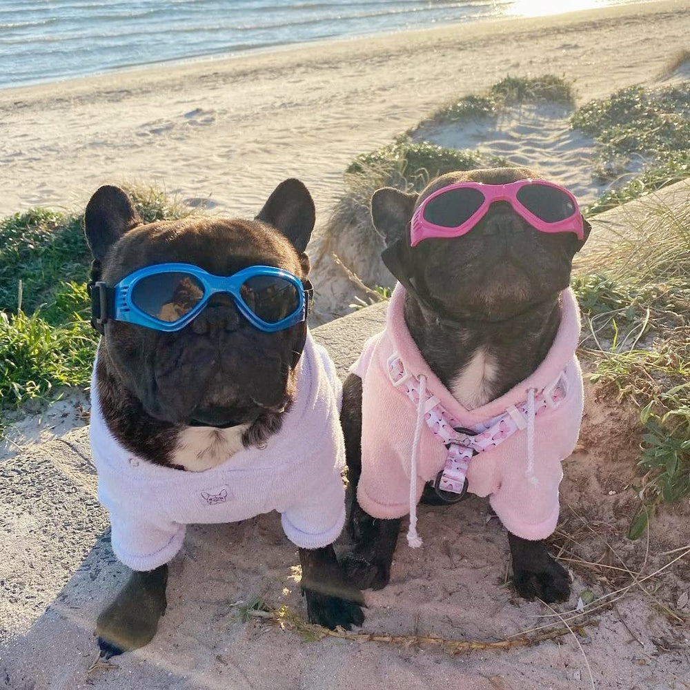Gafas NAMSAN para perros, diseño cómodo para uso al aire libre.