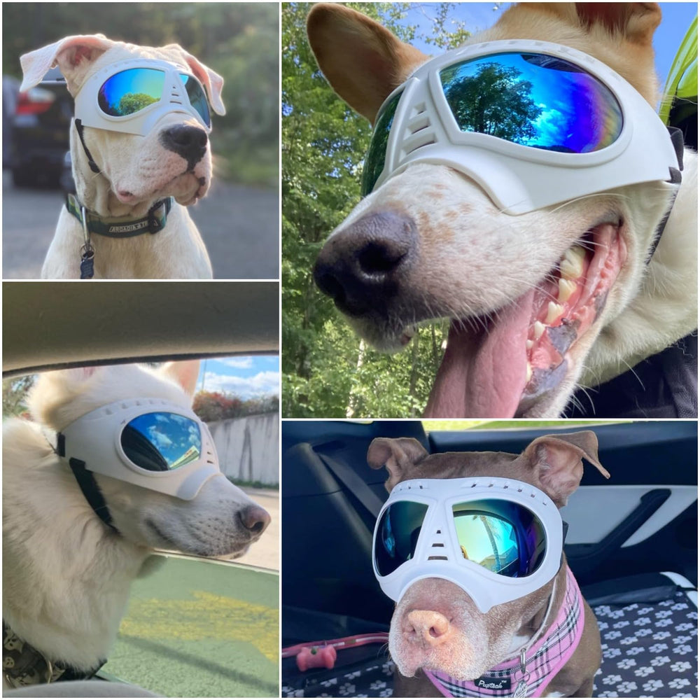 NAMSAN gafas para perros grandes con marco suave y cómodo.