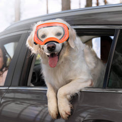 Gafas NAMSAN para perro grande, montura suave y cómoda.