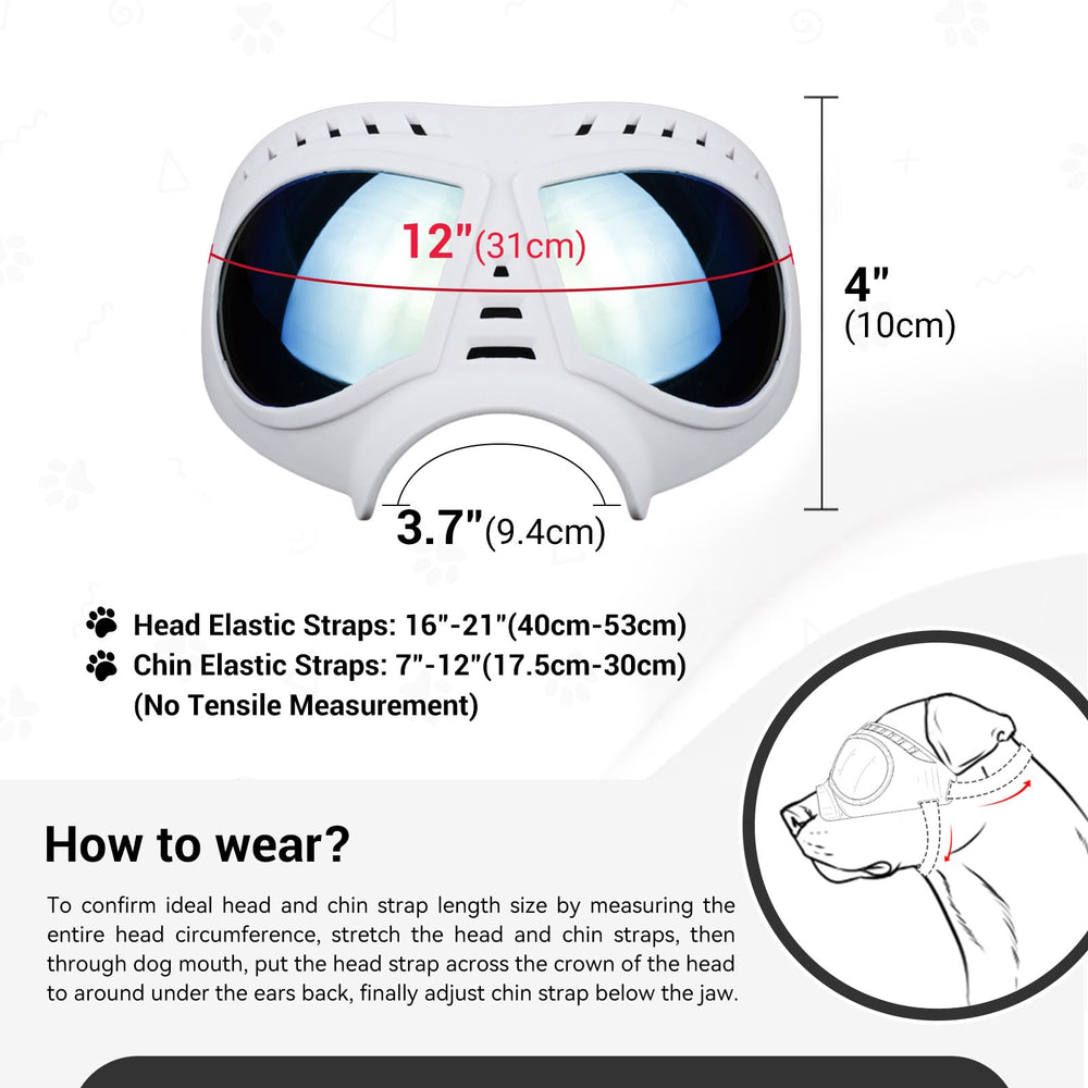 Protección UV NAMSAN para ojos del perro durante paseos.