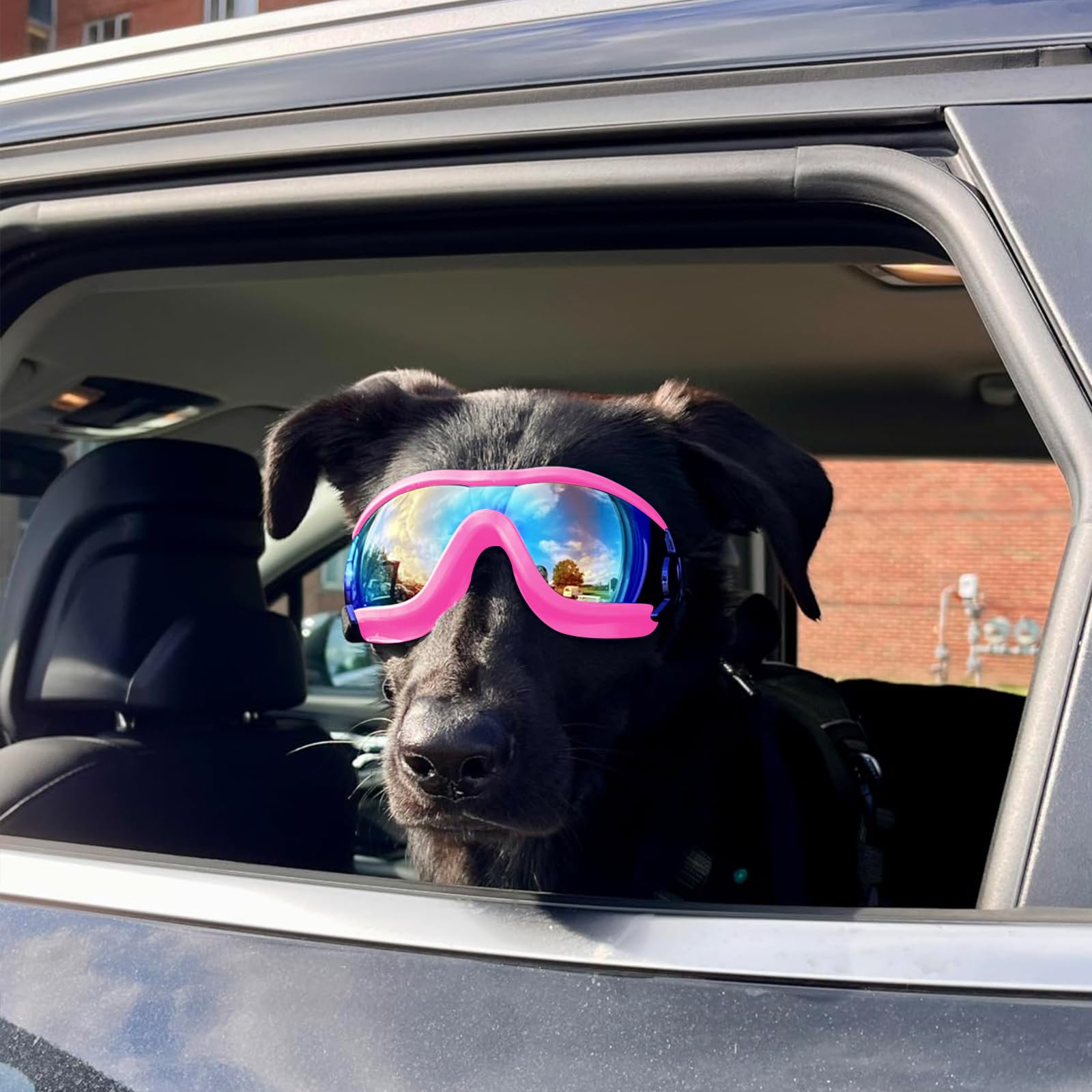 Gafas NAMSAN para perros rosas, uso exterior ideal durante caminatas.