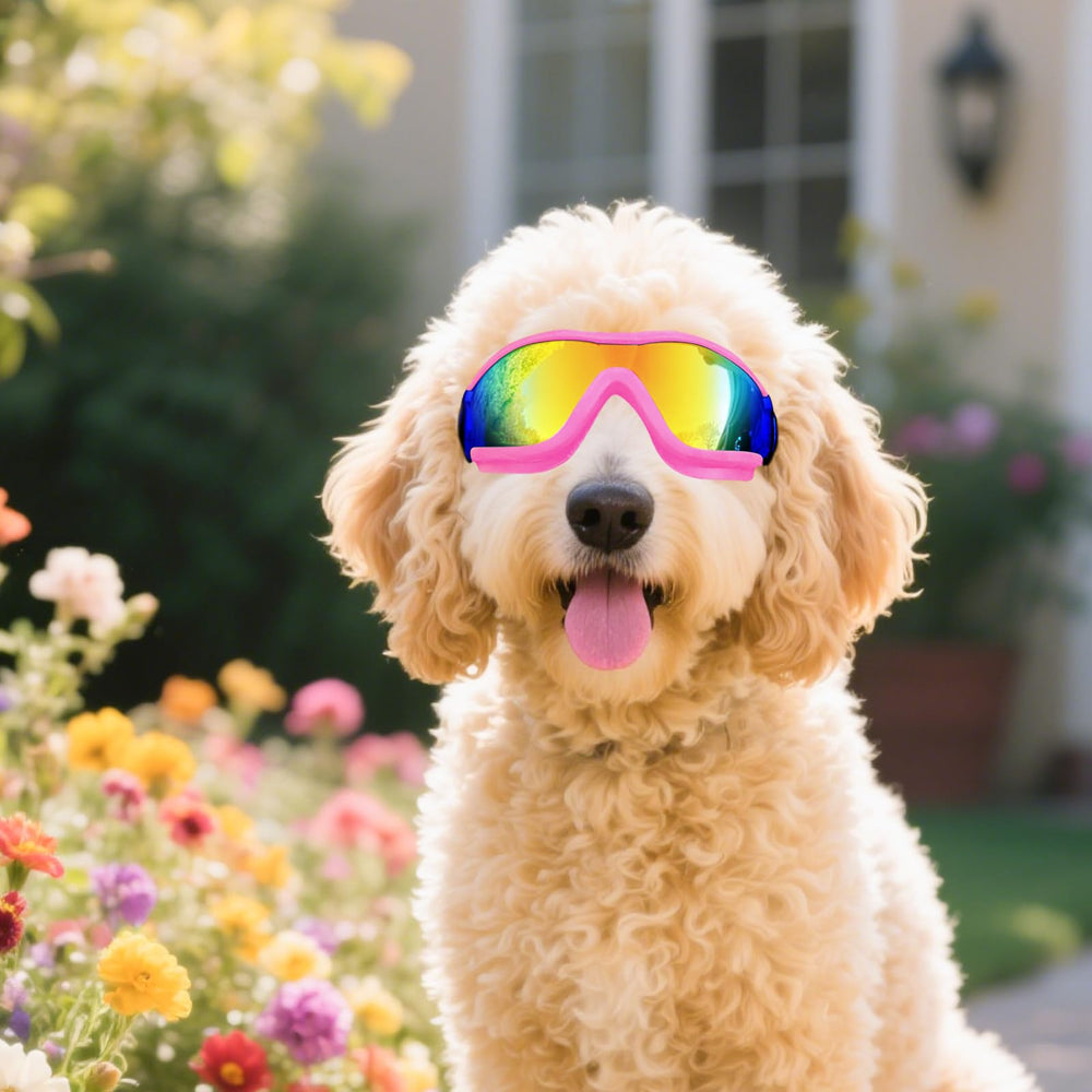 Gafas NAMSAN para perros rosas con ventilación para evitar vaho.