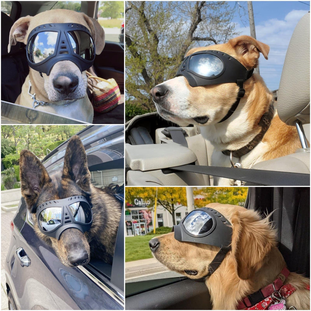 NAMSAN gafas para perros grandes con armazón TPE suave para comodidad.
