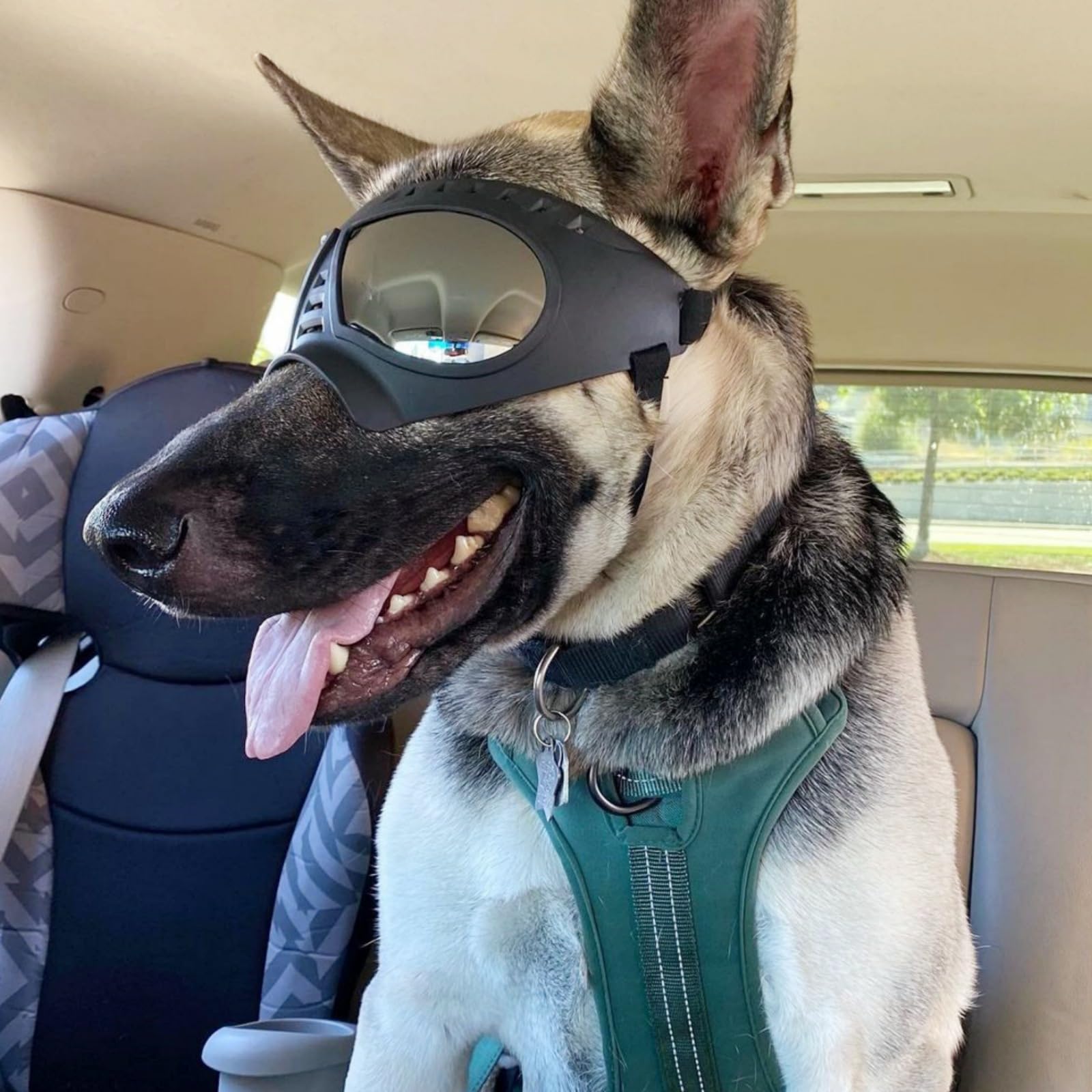 NAMSAN gafas para perros grandes, diseño ergonómico que se adapta al hocico.