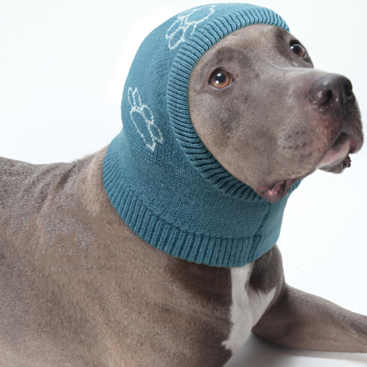 Nanaki abrigo calma orejas para perro protege del frío y mantiene orejas secas.