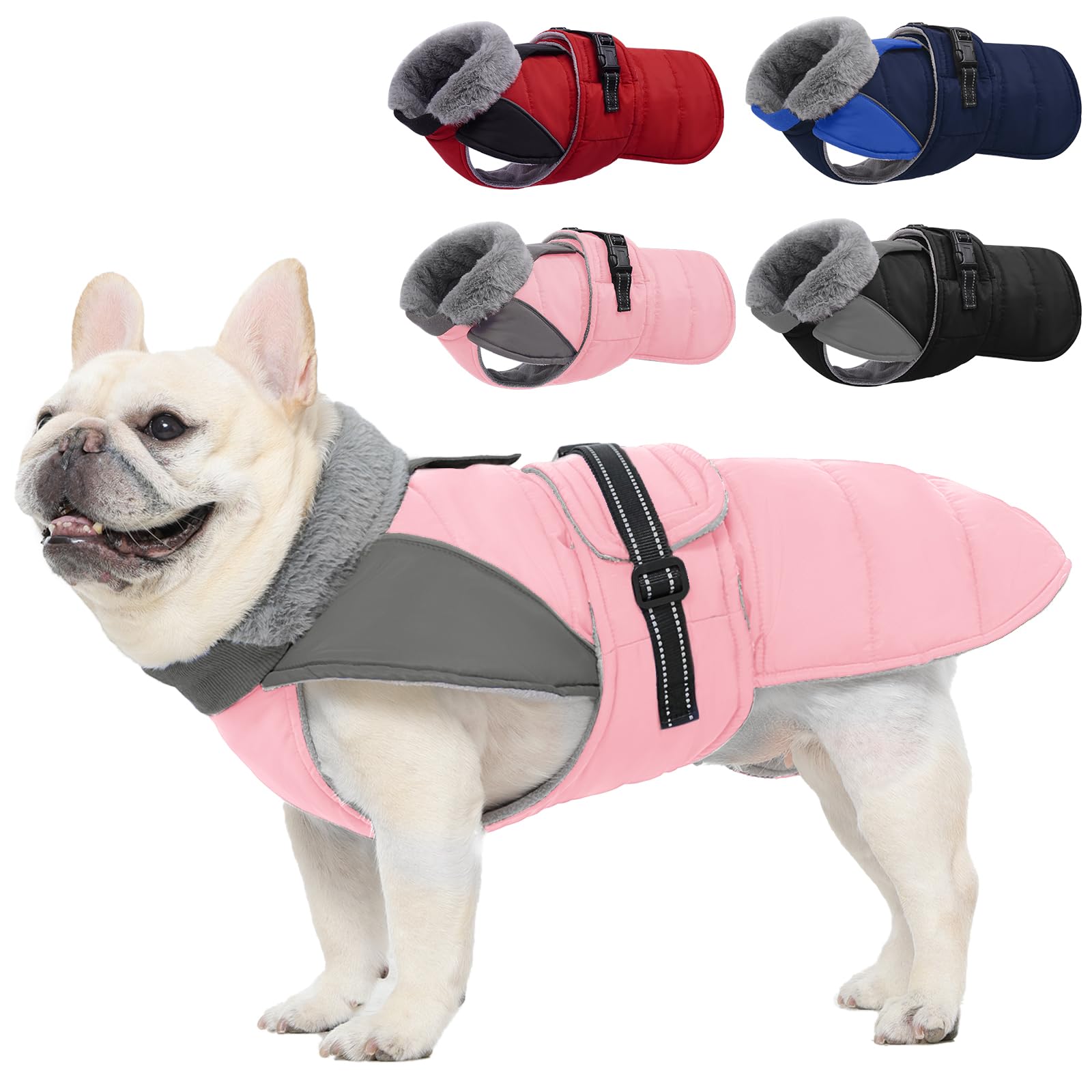 Chaqueta Nanaki para perro pequeño con forro felpa rosa, ideal para paseos nocturnos.