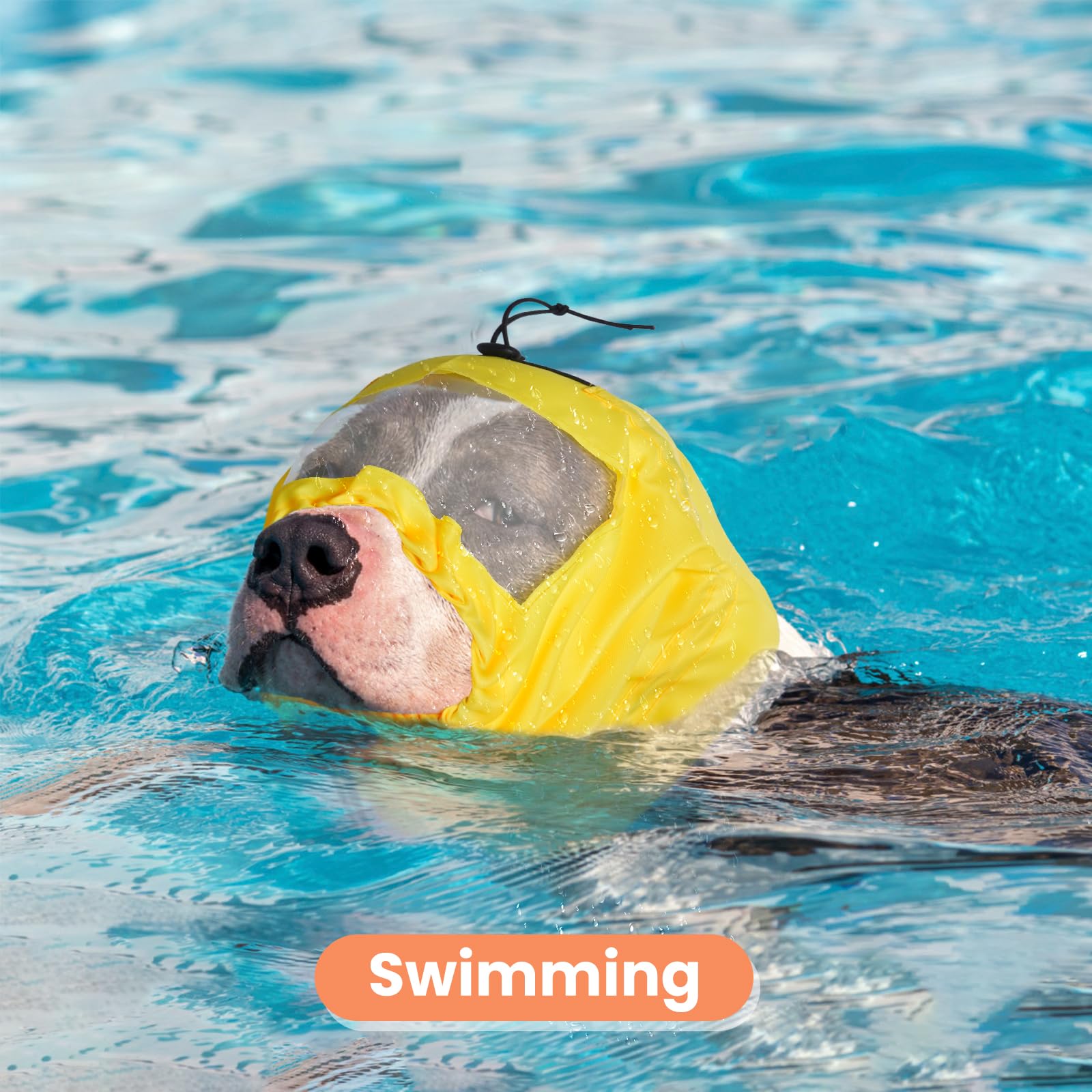 Diseño ajustable Nanaki para perros de distintos tamaños durante natación.
