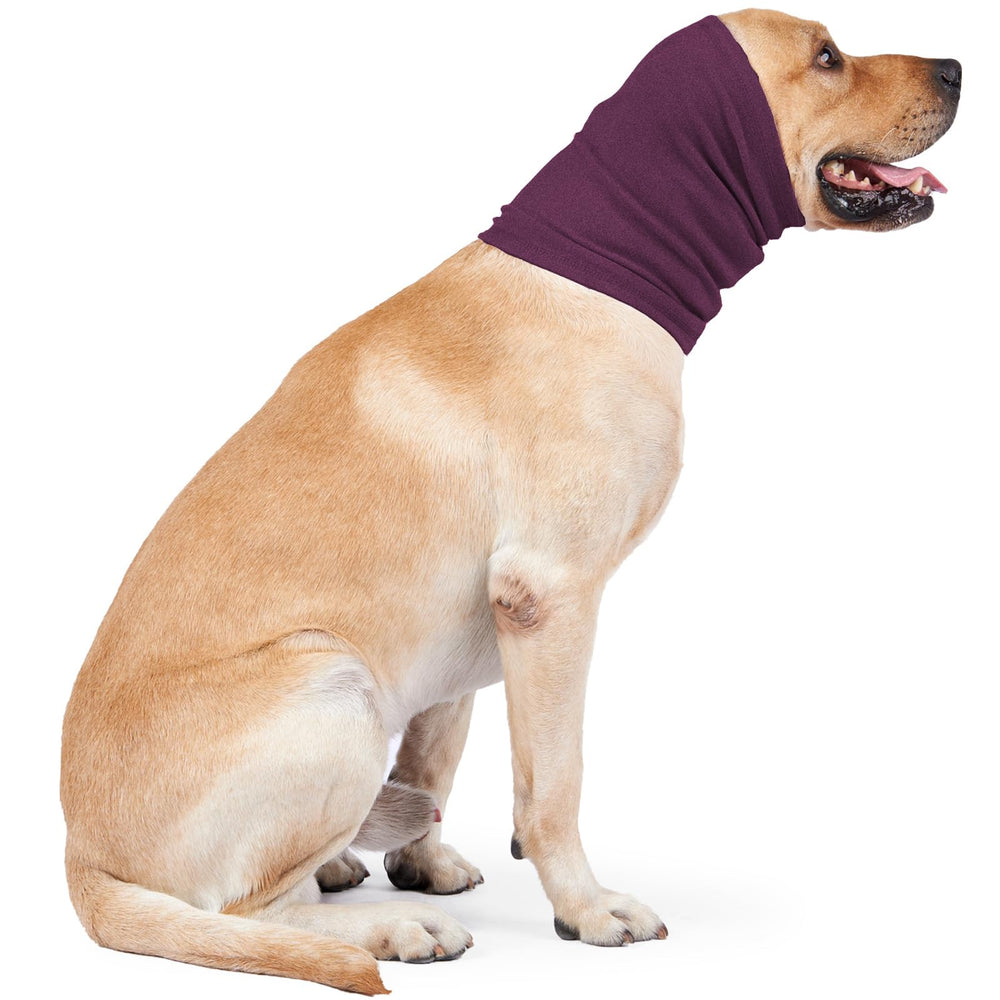 Nanaki diseño para cuidado veterinario, protege orejas durante procedimientos.