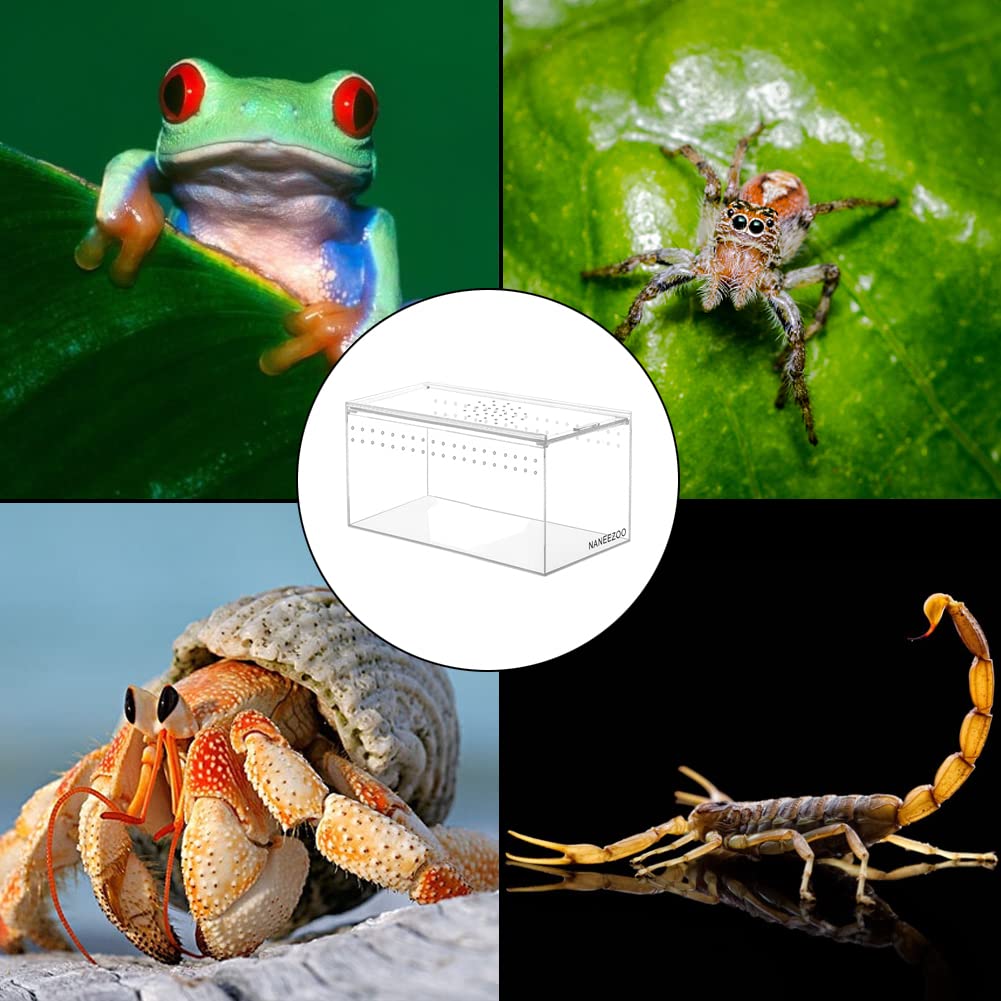 NANEEZOO Terrario acrílico magnético ventilación lateral y superior para flujo de aire constante