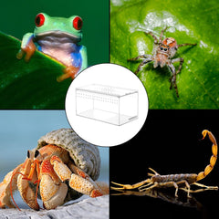 NANEEZOO Terrario acrílico magnético ventilación lateral y superior para flujo de aire constante