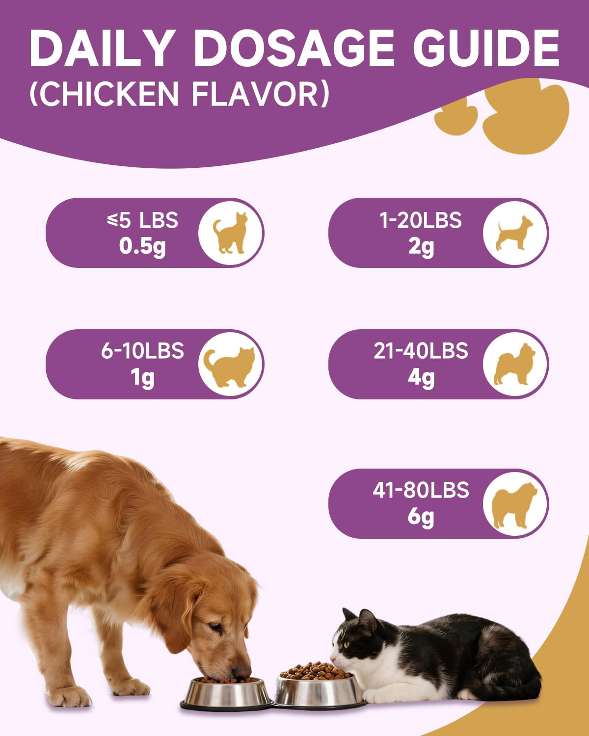 NaSeny hongo Shiitake, polvo puro favorece la digestión saludable en perros y gatos.