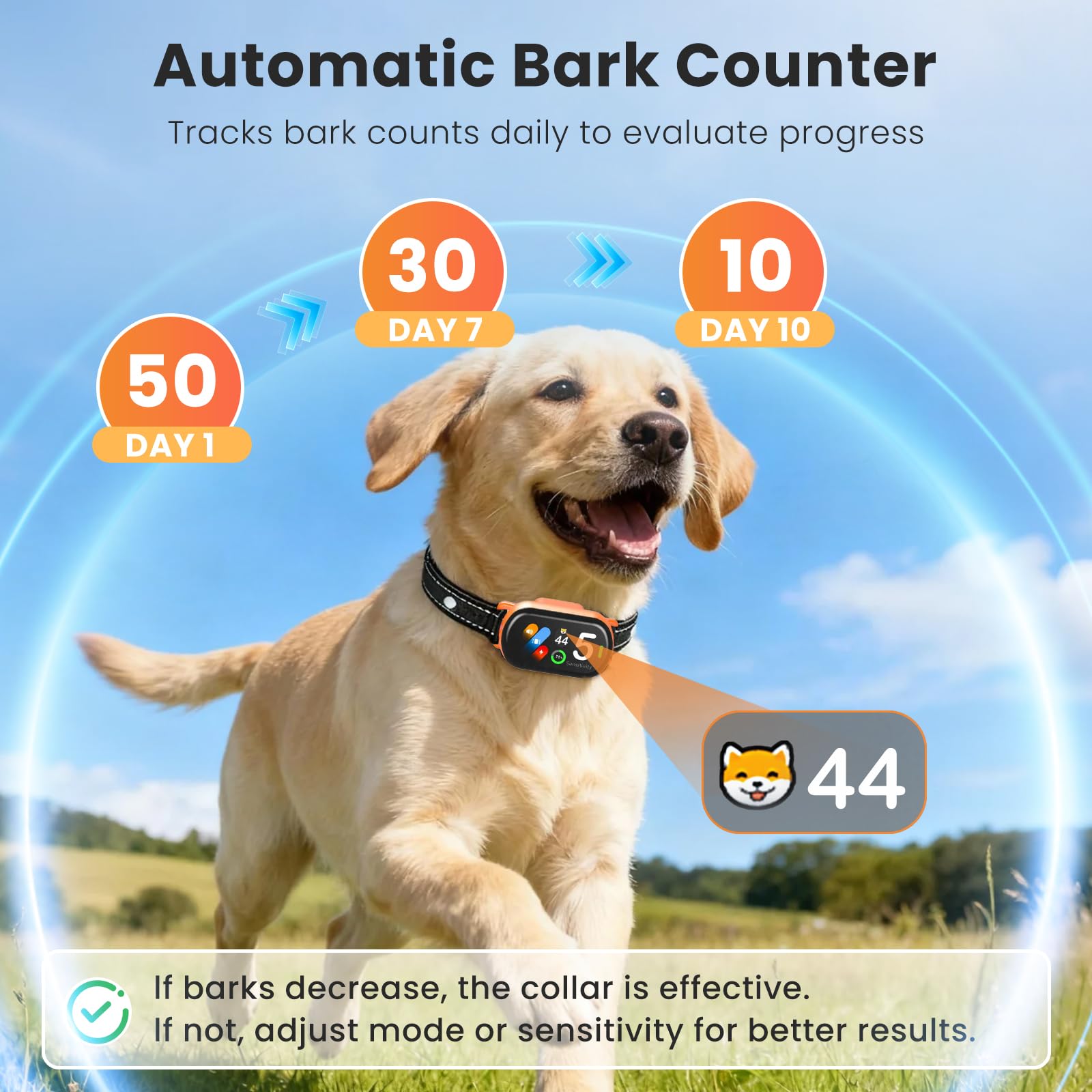 NATGOVOD collar correa ajustable para perros de todos los tamaños.