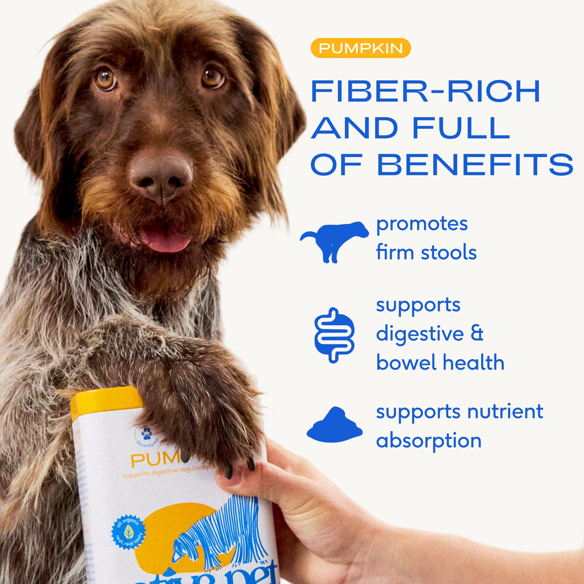 Native Pet calabaza para perros: cucharilla medidora facilita porciones para la comida