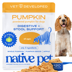 Native Pet calabaza para perros: polvo en bote para apoyar la digestión suave