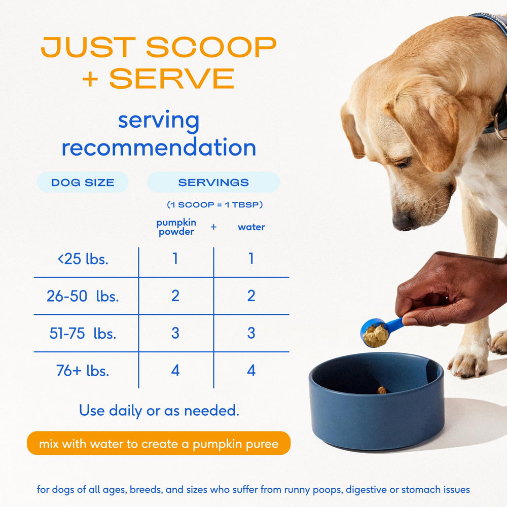 Native Pet calabaza para perros: fibra de calabaza y manzana para heces regulares