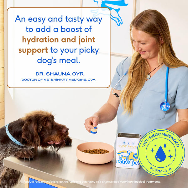 Native Pet Caldo de Huesos para Perros: sabor atractivo para comedores exigentes