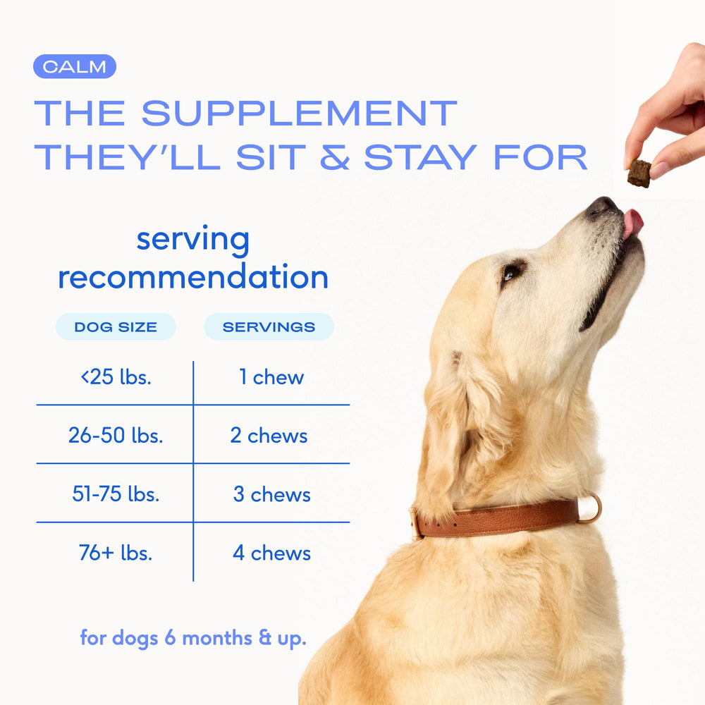 Ideal para viajes y separación con Native Pet Calming Chews.
