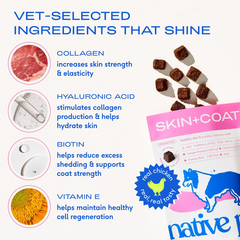 Native Pet Omega con colágeno y probióticos para pelaje saludable.