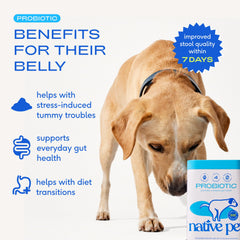 Native Pet Probiotics para perros: medida de cucharilla para dosis fáciles