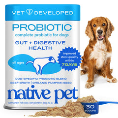 Native Pet Probiotics para perros: polvo en bote, apoyo digestivo diario