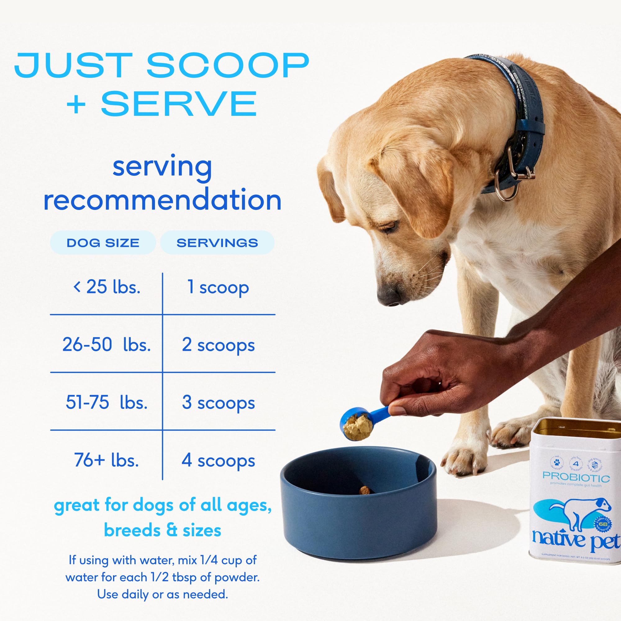 Native Pet Probiotics para Perros, sabor a caldo de hueso para comer con gusto
