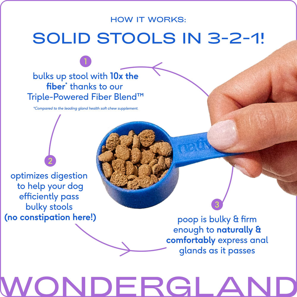 Native Pet WonderGland confort-digestivo mezcla suave para apoyar la digestión y el bienestar