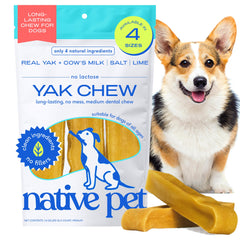 Native Pet Yak Cheese Himalayan: masticar de larga duración para perros medianos.