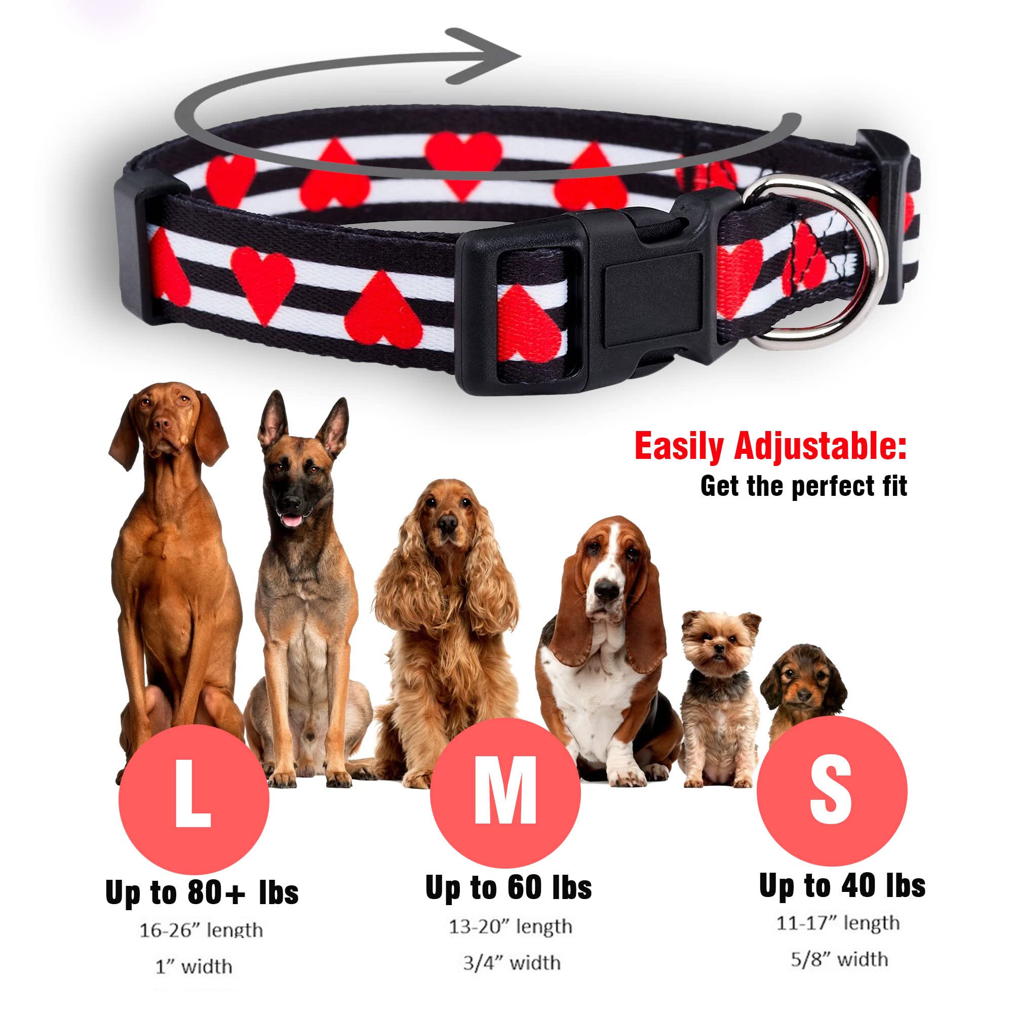 Collar Native Pup ajustable para perros, ajusta con facilidad para comodidad diaria.
