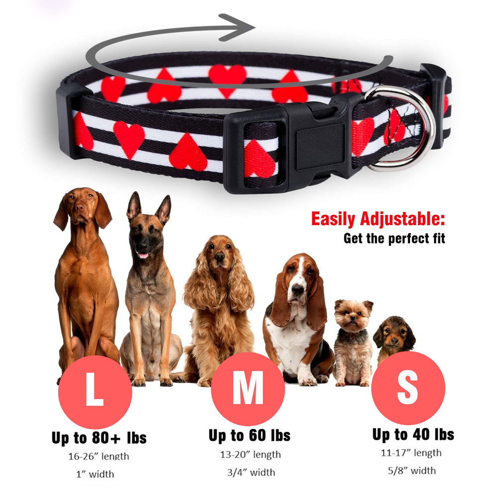 Collar Native Pup ajustable para perros, ajusta con facilidad para comodidad diaria.