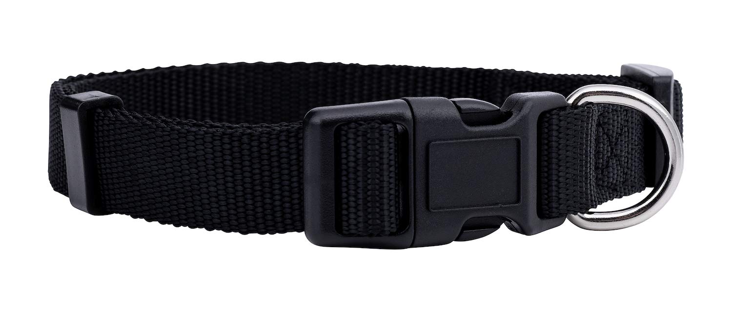 Native Pup collar básico negro en uso, con clip de liberación rápida y anilla en D.