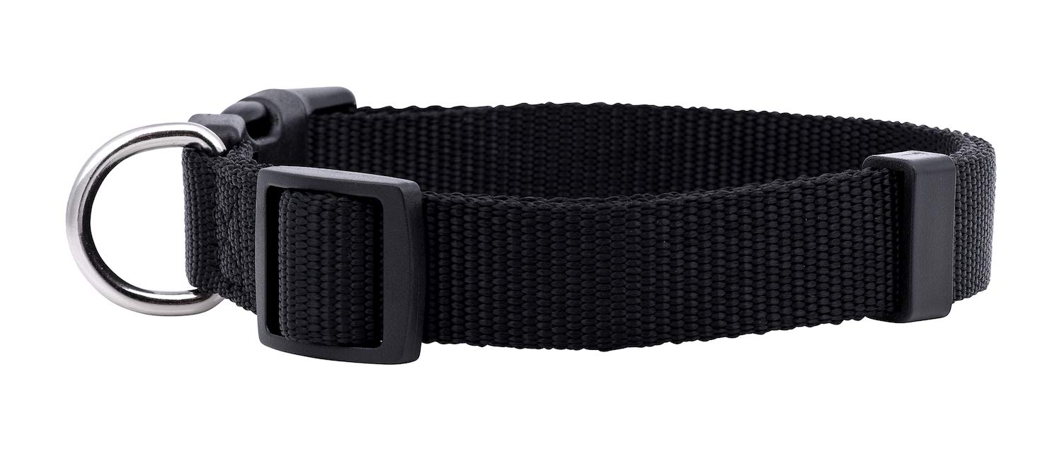 Native Pup collar básico rosa en cachorro, ideal para paseos y estilo suave.