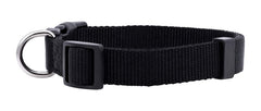 Native Pup collar básico rosa en cachorro, ideal para paseos y estilo suave.