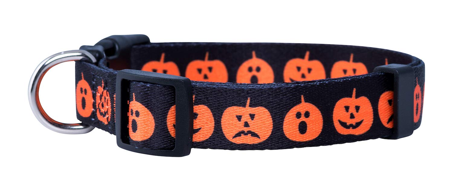 Collar Native Pup con calabaza, cómodo para paseos nocturnos seguros