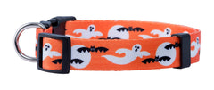 Native Pup collar calabaza temático, colores festivos y ajuste seguro.
