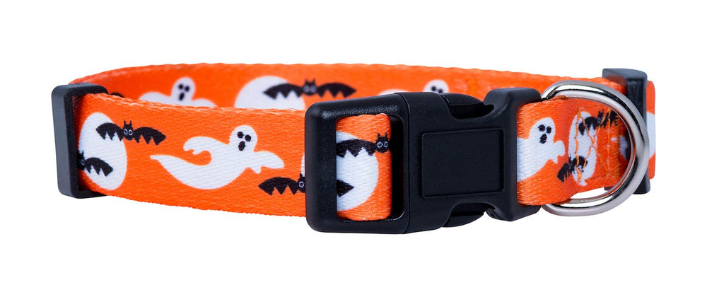 Native Pup collar calavera para Halloween, estilo atrevido y ajuste cómodo.
