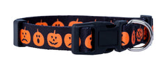 Collar Native Pup con calavera, look espeluznante para fiestas de otoño