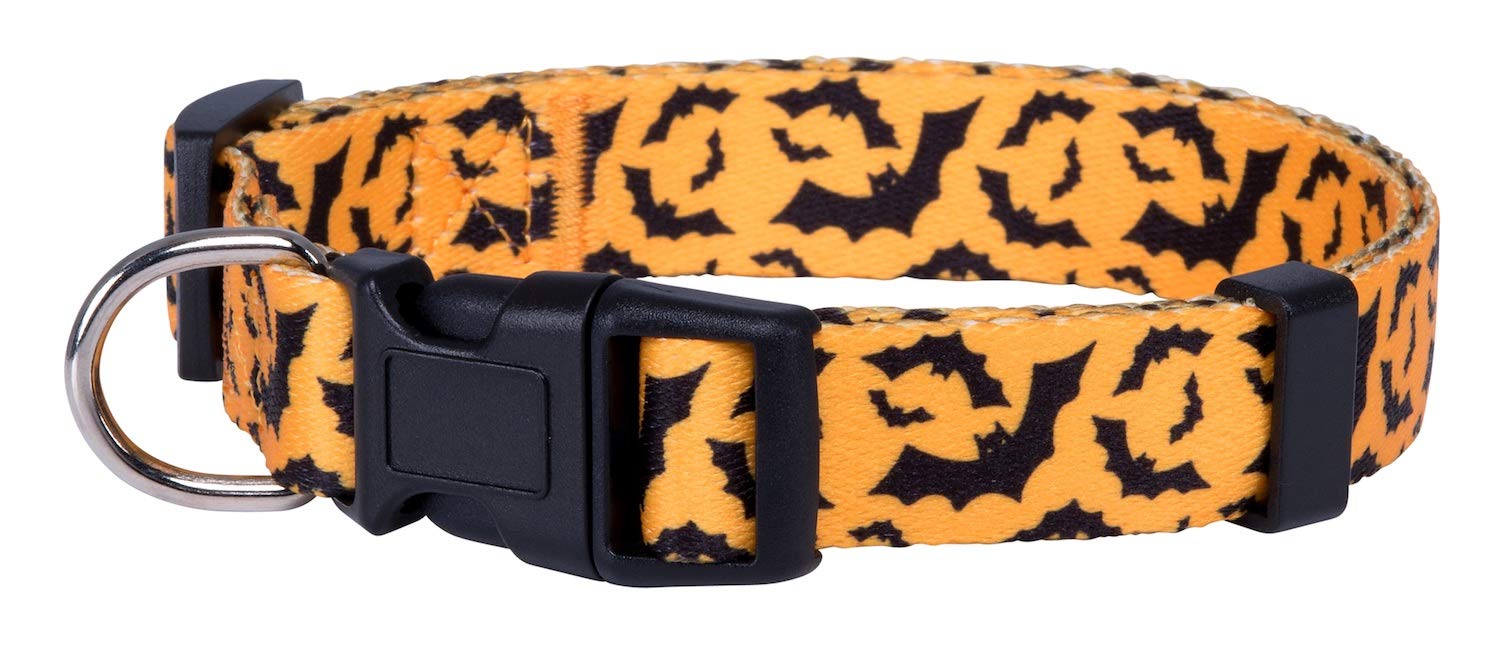 Native Pup collar disfraces murciélagos grande, ideal para paseos festivos y mayor visibilidad.