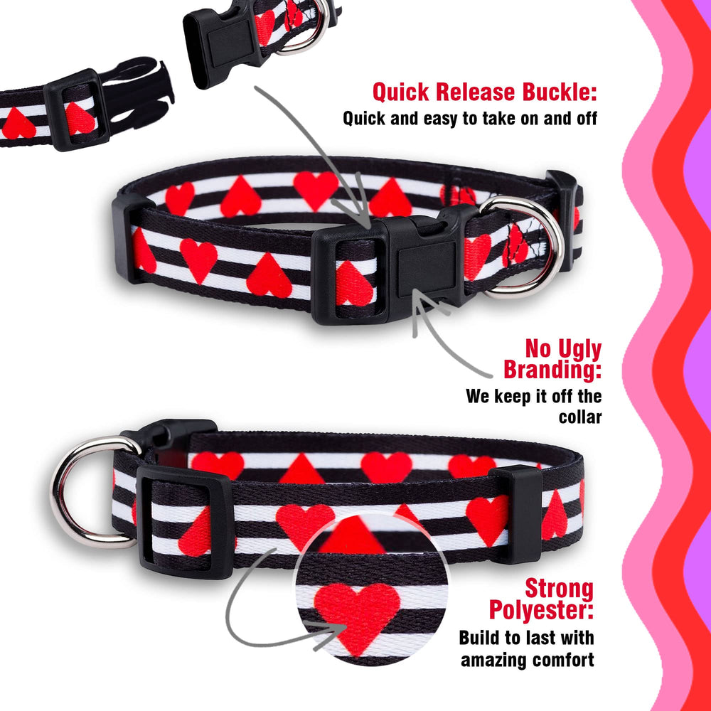 Collar Native Pup con empaque discreto, sin marca en la pieza.