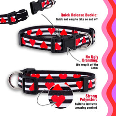 Collar Native Pup con empaque discreto, sin marca en la pieza.