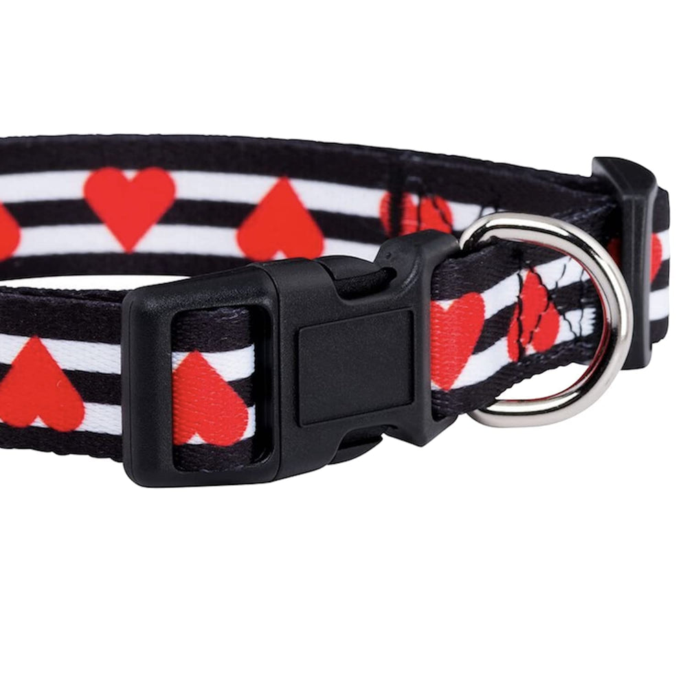 Collar Native Pup en parque, corazones en acción para paseos divertidos.