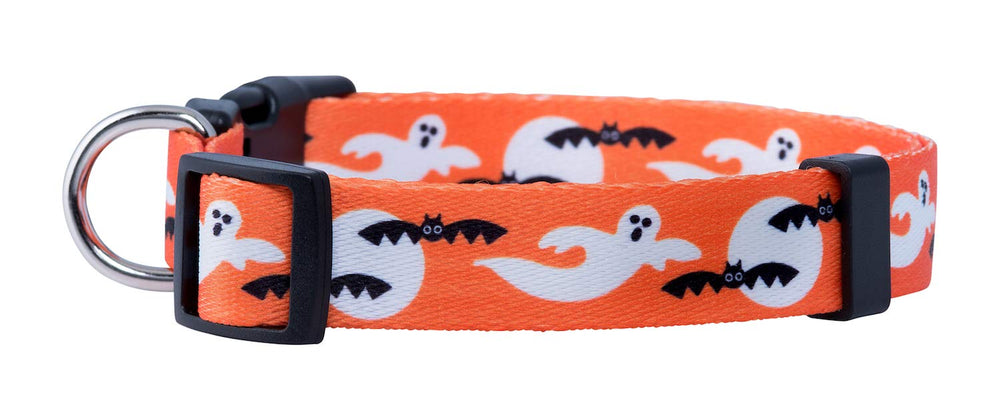 Collar de Native Pup Halloween con calabaza, destaca en fotos, seguro para perros pequeños.